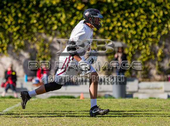 Lacrosse